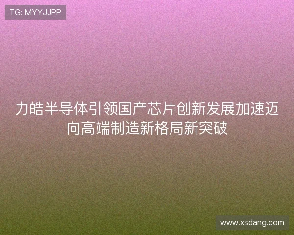 力皓半导体引领国产芯片创新发展加速迈向高端制造新格局新突破 力皓半导体引领国产芯片创新发展加速迈向高端制造新格局新突破