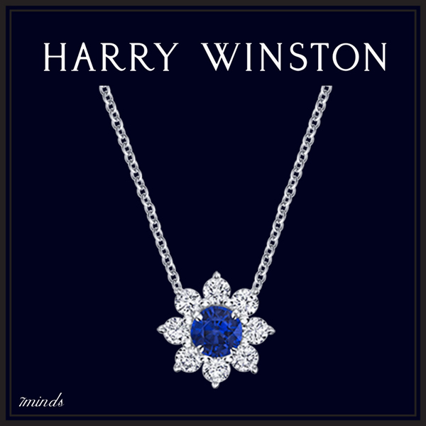 Harry Winston（ハリーウィンストン）スーパーコピー  ペンダント/ネックレス 21040625